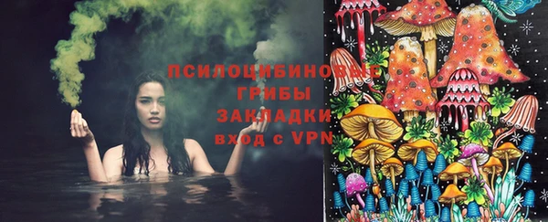 apvp Тайга