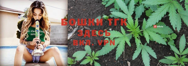 крисы Володарск