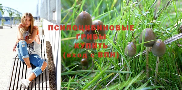 крисы Володарск